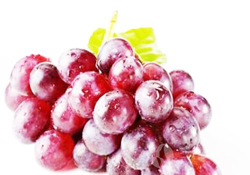 葡萄可以抗氧化