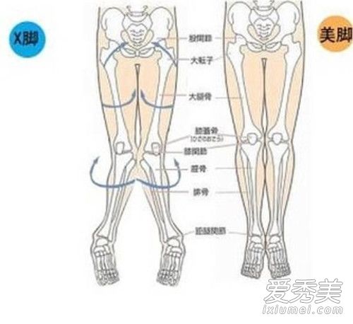 女生腿短穿什么裙子好看 女生腿粗穿什么裙子好看