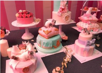 范冰冰生日猫咪蛋糕是什么牌子的 范冰冰生日同款蛋糕多少钱