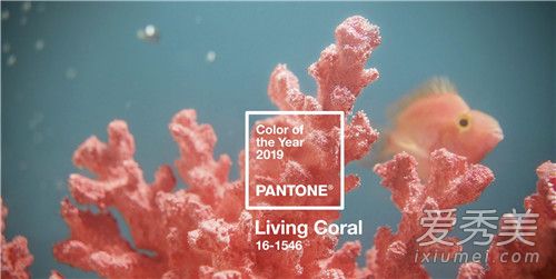 2019服装流行色彩趋势 Pantone2019年度色票珊瑚橙是什么颜色