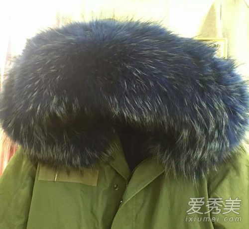貉子毛怎麼分真假 貉子毛怎麼保養