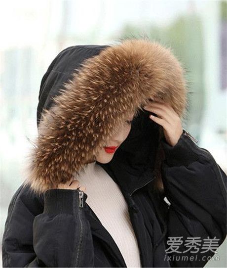 貉子毛是什么动物的毛 貉子毛价格是多少