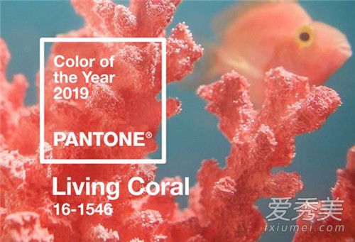 2019Pantone年度流行色 活力珊瑚橙献给充满朝气的新年份