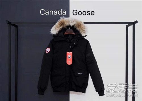 加拿大鵝羽絨服價格 加拿大鵝羽絨服是鵝絨嗎