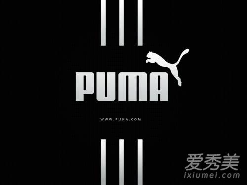 puma是美洲豹還是美洲獅 puma的logo是美洲豹還是美洲獅