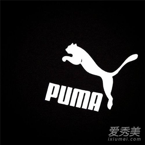 一头豹子是什么品牌 puma彪马品牌介绍