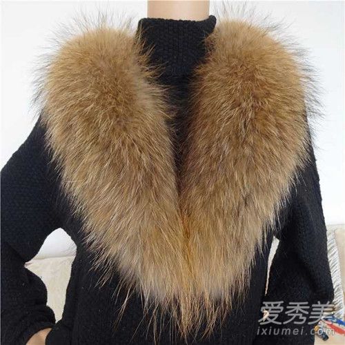 貉子毛是什么毛 貉子毛和狐狸毛哪个好