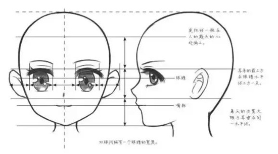 漫畫臉是什麼意思 漫畫臉是什麼臉型