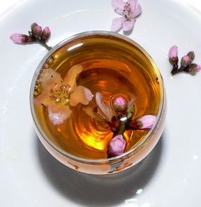 桃花茶祛除色斑改善肤色