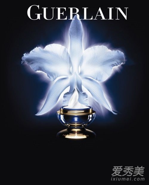 娇兰guerlain是什么牌子 guerlain是什么档次