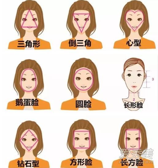 所有脸型图片及名称 所有脸型都适合的发型是哪一种