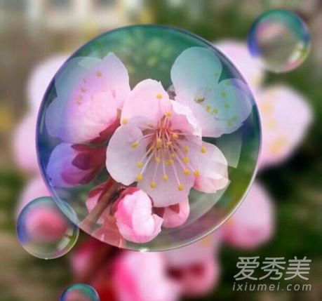 春天祛斑好時機 生薑桃花都是祛斑利器 祛斑小竅門