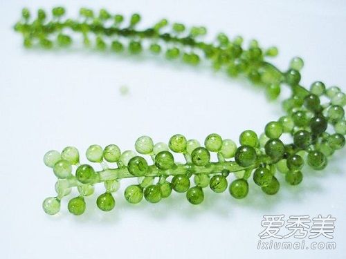 海葡萄面膜怎么样 海葡萄面膜功效