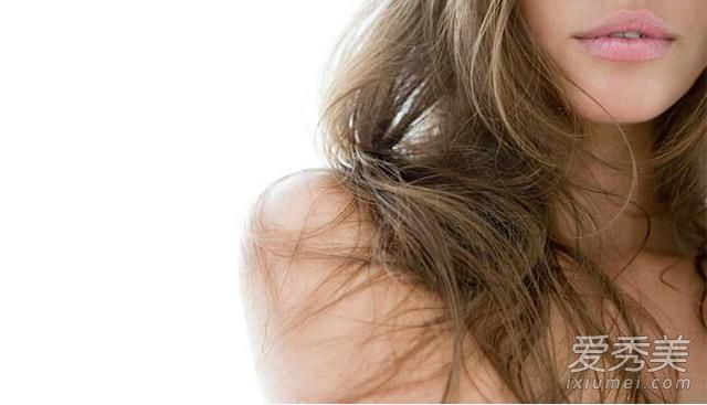 护发小测试：一分钟弄懂你是什么发质？ 怎么看自己是什么发质