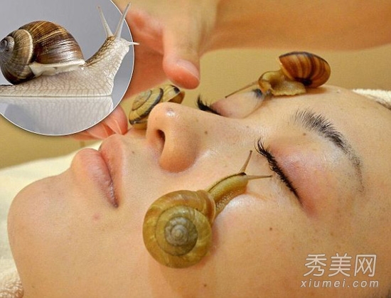 日本“蜗牛美容” 蜗牛爬满脸太惊悚