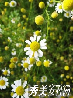 鮮花護膚成就“花樣”美肌