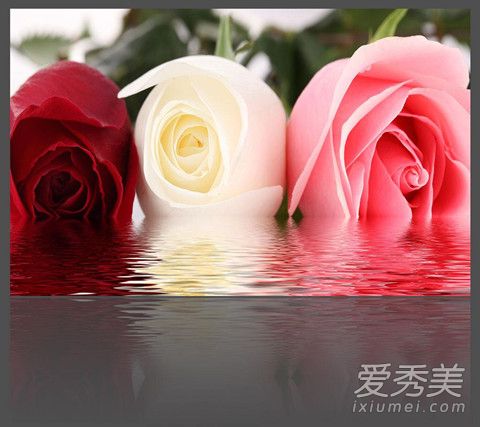 玫瑰水 玫瑰水的功效与作用 玫瑰水可以做面膜吗