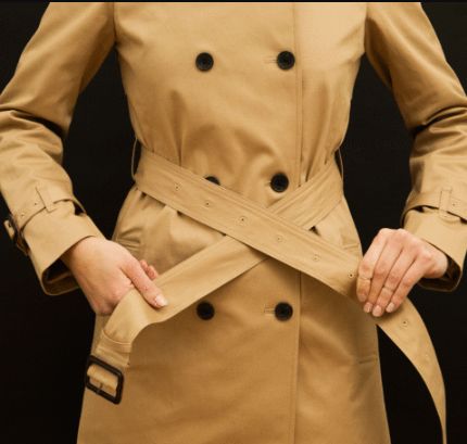 三种不同的防风林带