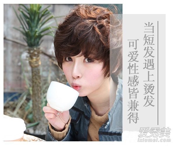 学韩国MM弄一款短烫发 可爱性感都有了 短发弄什么发型好看