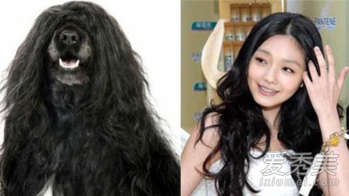 女神也有失手時 新裝尹恩惠與萌犬撞發型