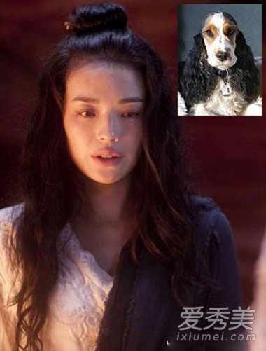 女神也有失手時 新裝尹恩惠與萌犬撞發型