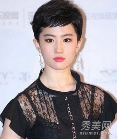 鲁豫赵薇刘亦菲 女星最丑发型千万别学