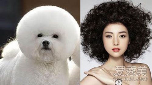 女神也有失手時 新裝尹恩惠與萌犬撞發型