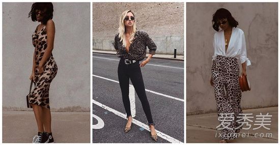 如何用老式的方式装饰大面积的豹纹?得到这个6点钟可以被所有年龄的人使用!