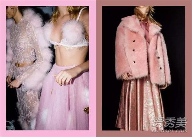 比紫外线更坚固的是干玫瑰