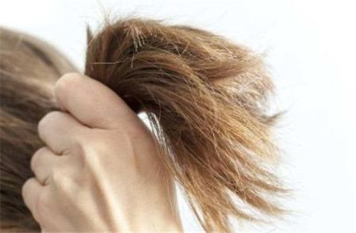 头发分叉的原因是什么以及如何护理?