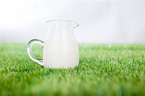 牛奶真的能敷臉美白嗎？用牛奶洗臉的正確方法是什麼