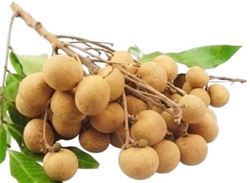 哪些食物可以补气养颜,经常吃这些食物可以改善气血不足