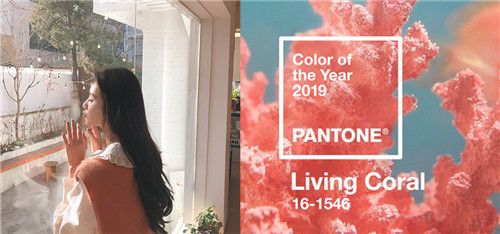 2019潘通年2019流行多彩珊瑚橙，迎接充滿活力的新年