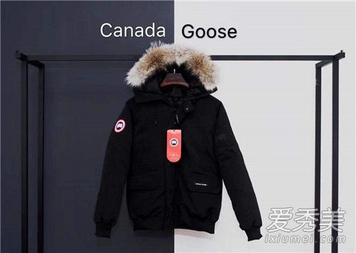 加拿大鹅羽绒服价格是加拿大鹅羽绒服鹅绒