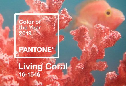 2019年流行的珊瑚橙是什么颜色