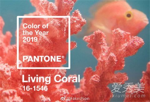 2019流行色趋势潘通发布珊瑚橙为2019流行色