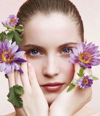 七种花卉在春天呵护敏感肌肤