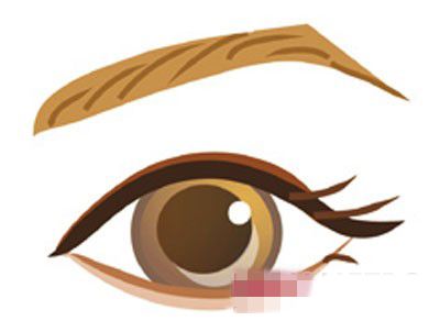 几个简单的动作会教你如何处理眉毛整形这个难题。
