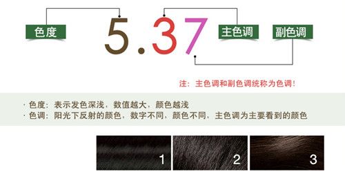 施华蔻染发剂颜色数字图表