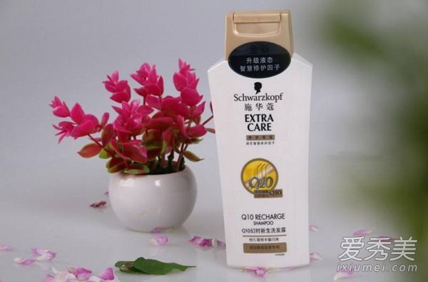 施华蔻洗发水怎么样？哪个系列的施华蔻洗发水最好用？