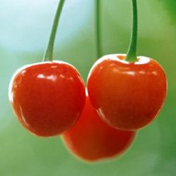 女人30无皱纹神秘食品保养良好