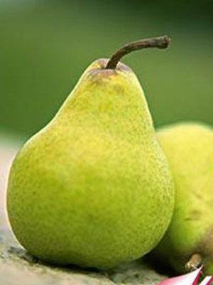 6种美味的保健食品耐秋季干燥