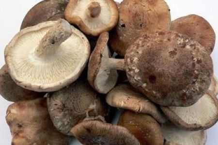 美容食品是健康和科学的