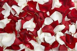 天然、经济的自制墨粉