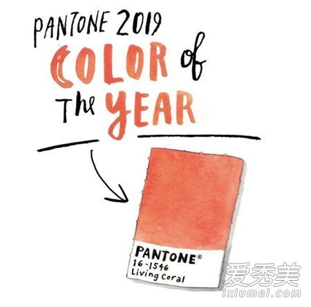 赶上这股橙色浪潮