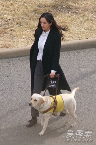 学习杨蜜的风衣和长裤，创造简洁、知性的风格