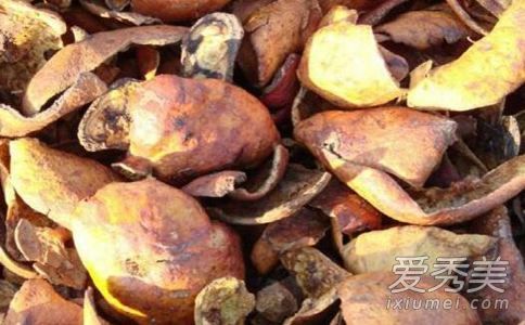 石榴皮沸水能治疗白发吗