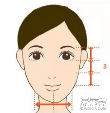 刘海,那么哪一只貂适合你的脸?