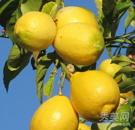 DIY美白和柠檬美白。柠檬水