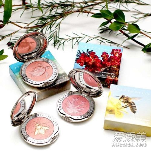 尚迪卡20周年纪念有限公司慈善腮红彩号